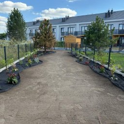 Maksymilian Gralec - Przygotowany teren pod trawnik z rolki, obrzeża wyłożone agrowłókniną i posadzone kwiaty, w tle budynki mieszkalne i drzewa iglaste.