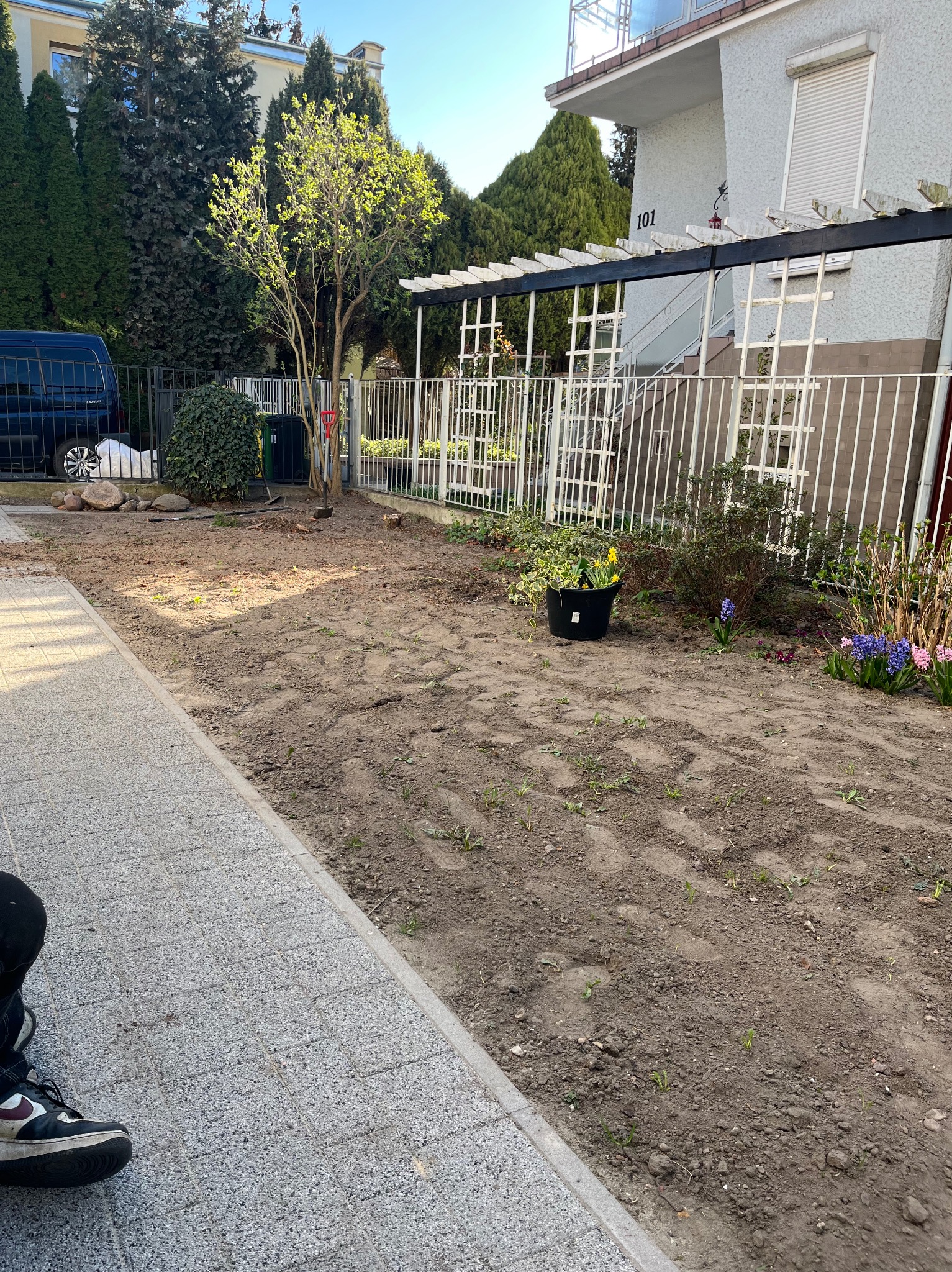 Przygotowany teren pod trawnik z widocznymi śladami stóp, z boku chodnik z butem osoby fotografującej, w tle ogrodzenie, pergola i budynek mieszkalny z numerem 101, w donicy żółte narcyzy...