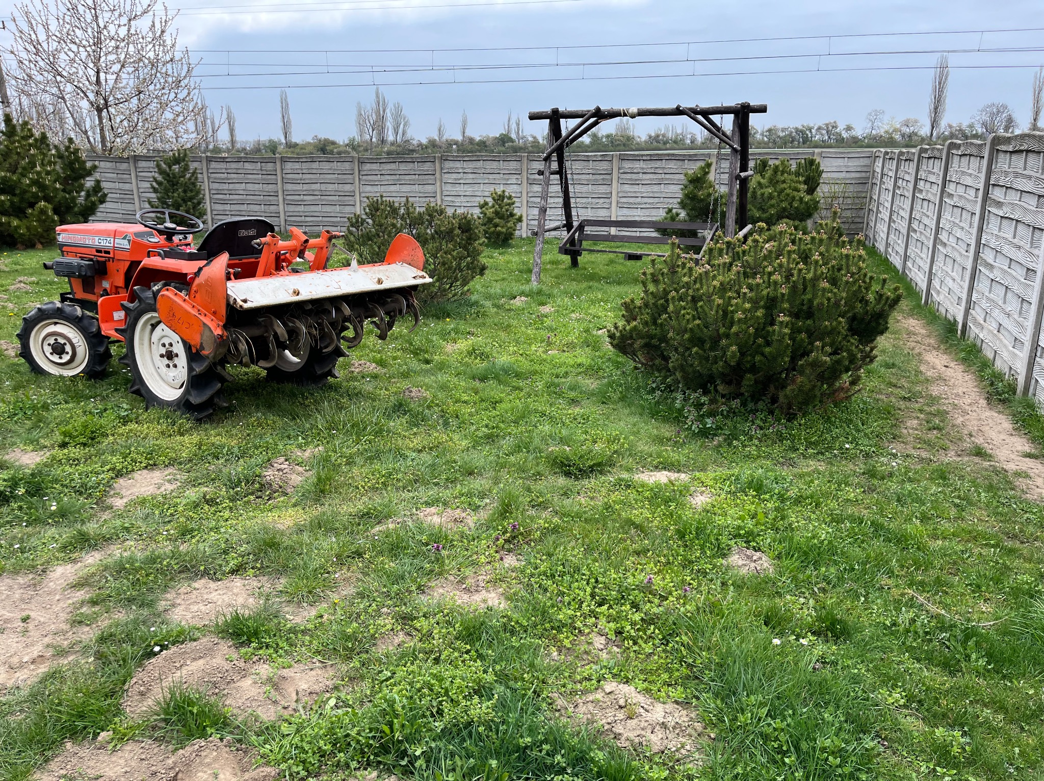 Pomarańczowy traktorek Hinomoto C174 z glebogryzarką na nierównym trawniku z małymi drzewkami iglastymi i huśtawką na tle betonowego ogrodzenia.