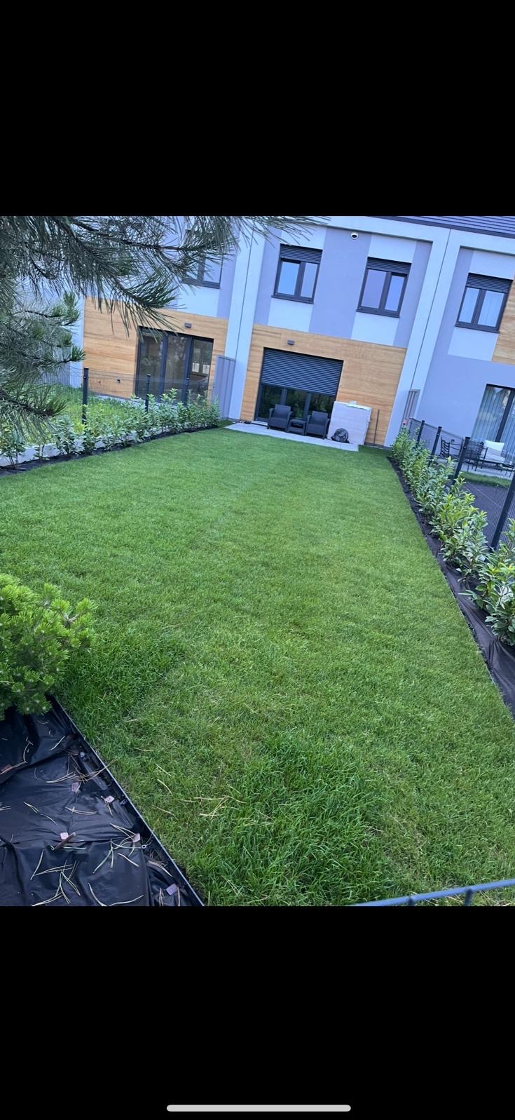 Zadbany trawnik z rolki przed nowoczesnym budynkiem, obrzeża wykończone niskimi krzewami. Widoczne elementy systemu nawadniania.