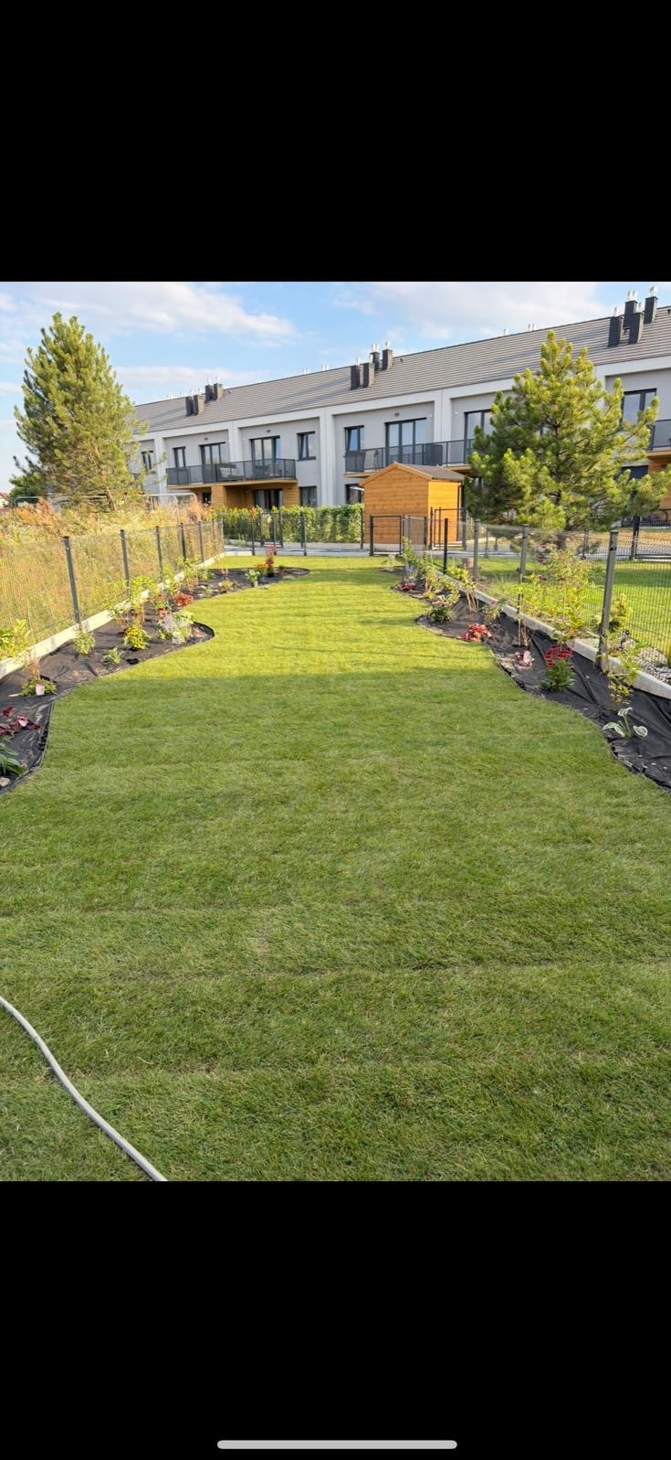 Świeżo ułożona trawa z rolki w ogrodzie szeregowca, z rabatami kwiatowymi wzdłuż ogrodzenia i małym drewnianym domkiem narzędziowym w tle.