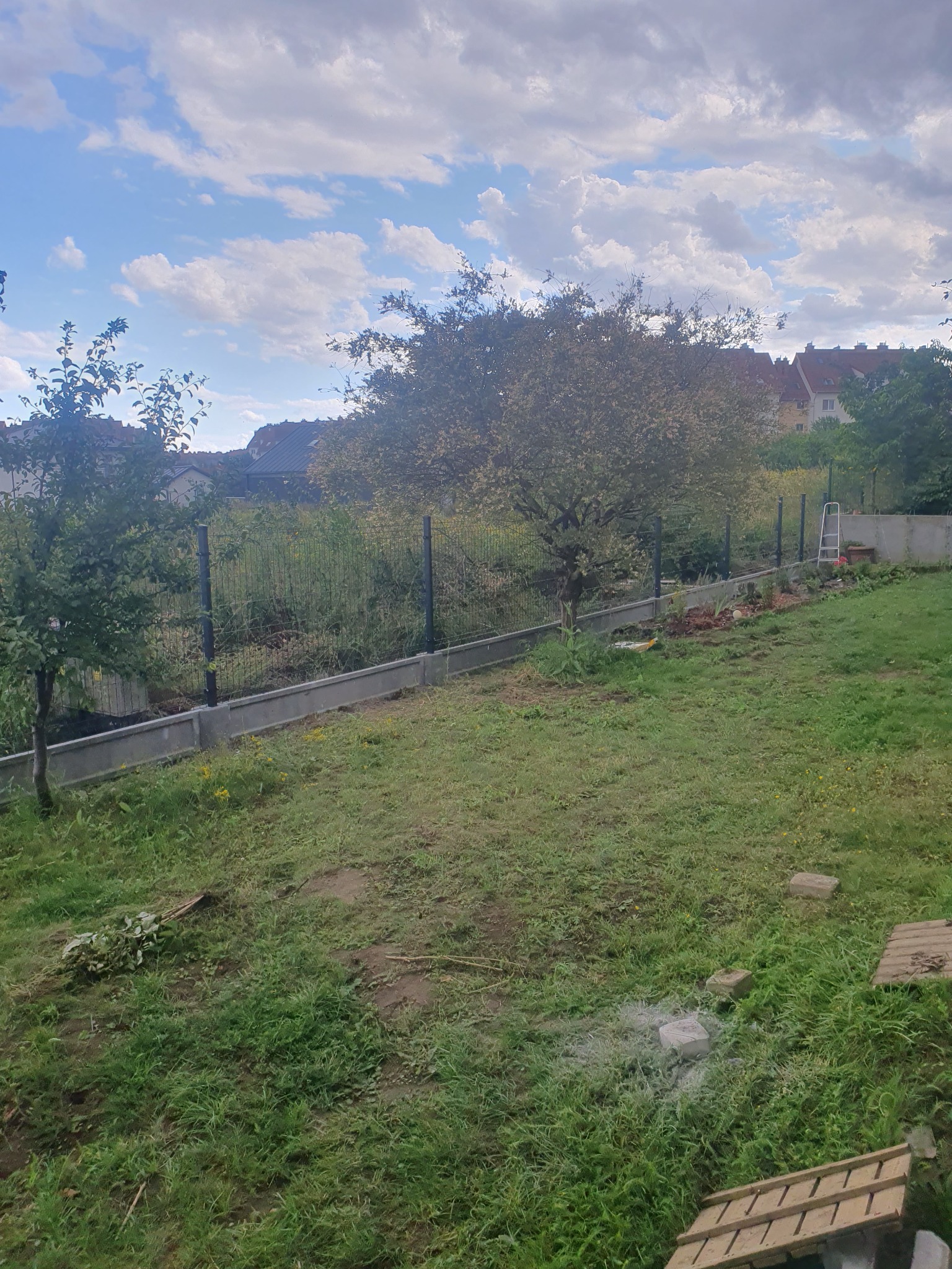 Ogrodzenie panelowe z podmurówką betonową, widok na ogród z drzewami i domami w tle, częściowo zachwaszczony trawnik.