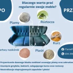 Grafika porównująca wygląd sofy przed i po czyszczeniu, z wizualizacjami plam, roztoczy, kurzu, martwego naskórka i pleśni, podkreślająca korzyści regularnego prania mebli.