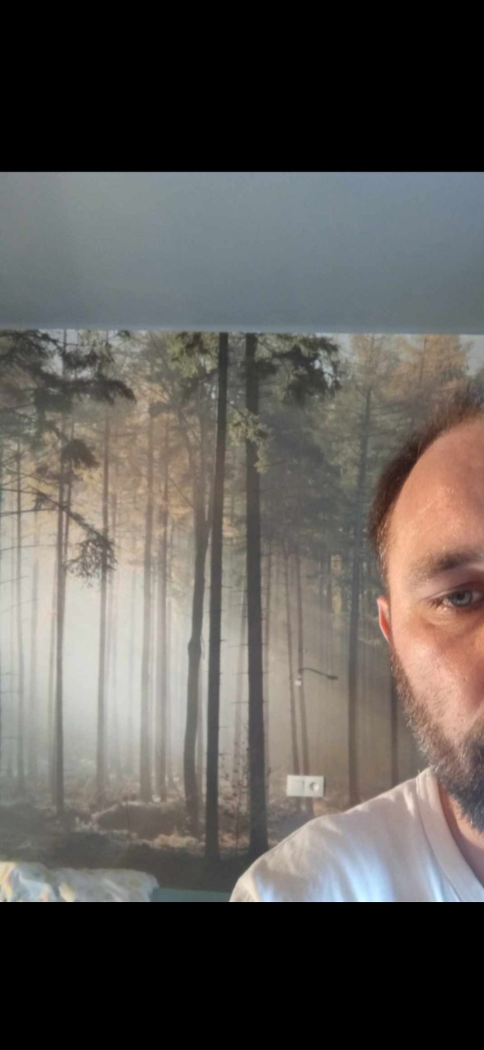 Fragment ściany z fototapetą przedstawiającą mglisty las, widoczny fragment twarzy mężczyzny po prawej stronie.