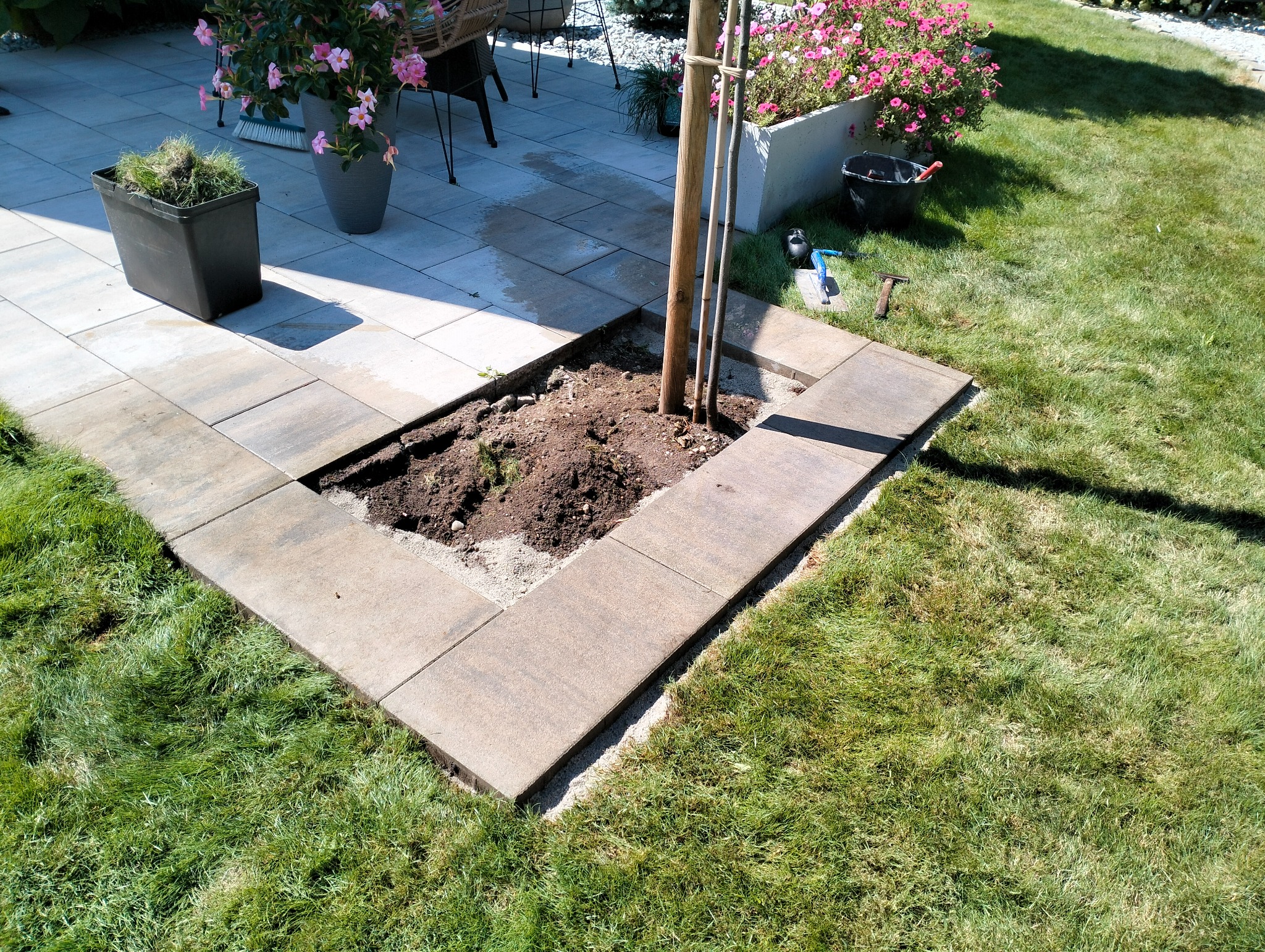 Układanie kostki brukowej wokół drzewa, widoczna ziemia przygotowana do sadzenia, częściowo ułożona kostka, narzędzia brukarskie leżące na trawie, donice z kwiatami w tle.