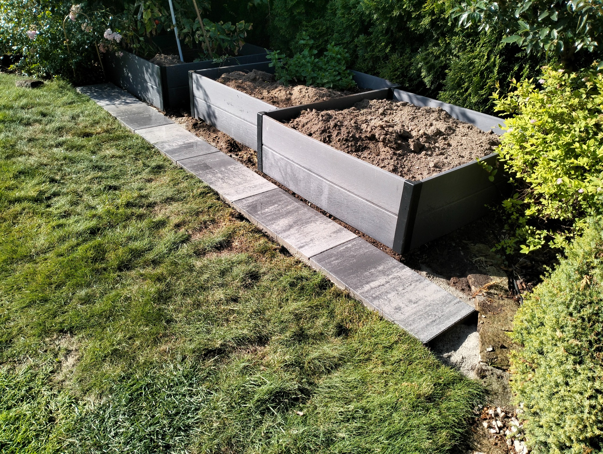 Ułożony chodnik z szarych płyt betonowych prowadzący wzdłuż podwyższonych rabat z ziemią w ogrodzie, widok z perspektywy trawnika.