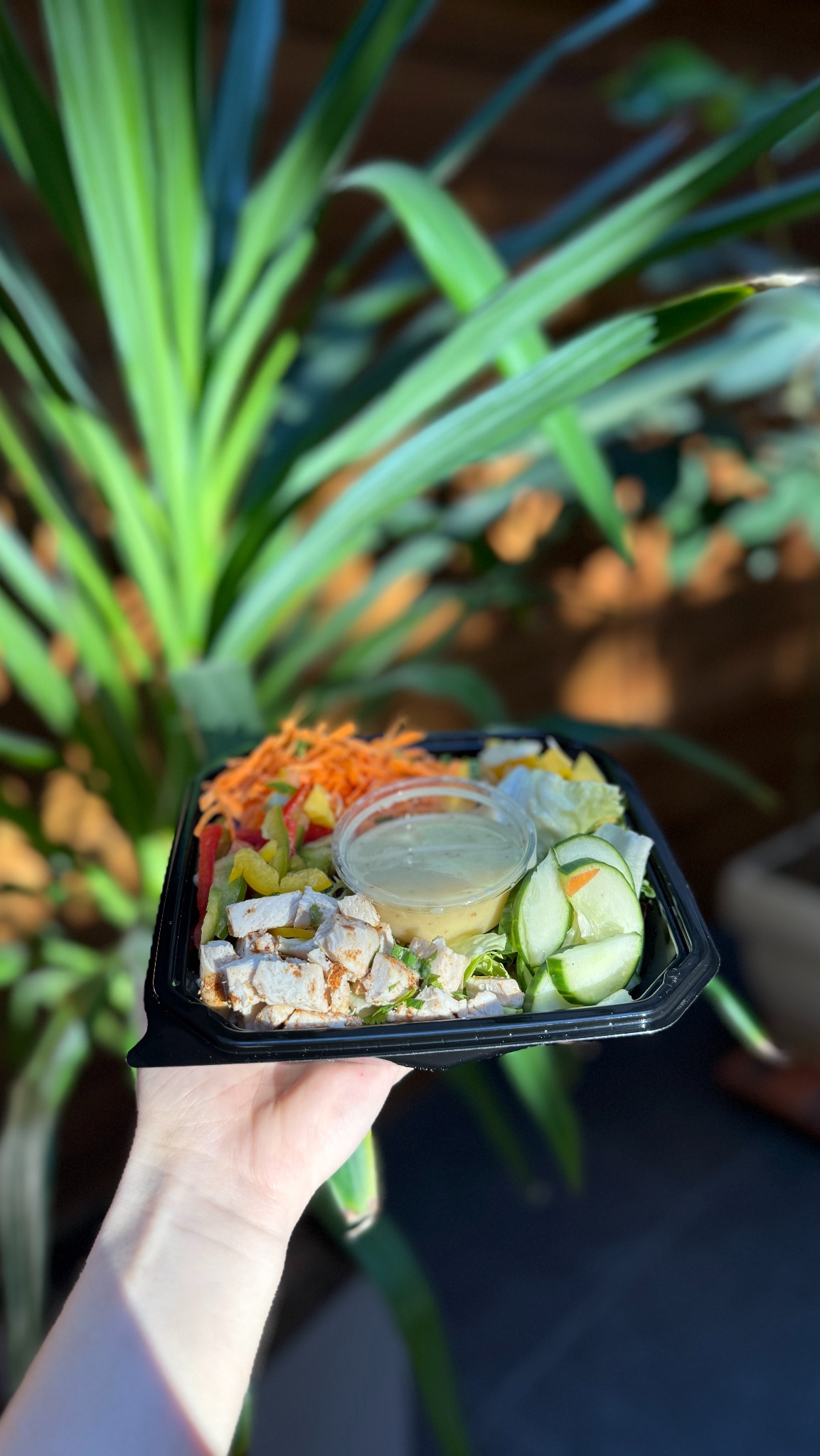 Sałatka z kurczakiem, warzywami i sosem w czarnym pojemniku, trzymana w dłoni na tle zielonej rośliny. Słoneczne oświetlenie podkreśla świeżość składników.