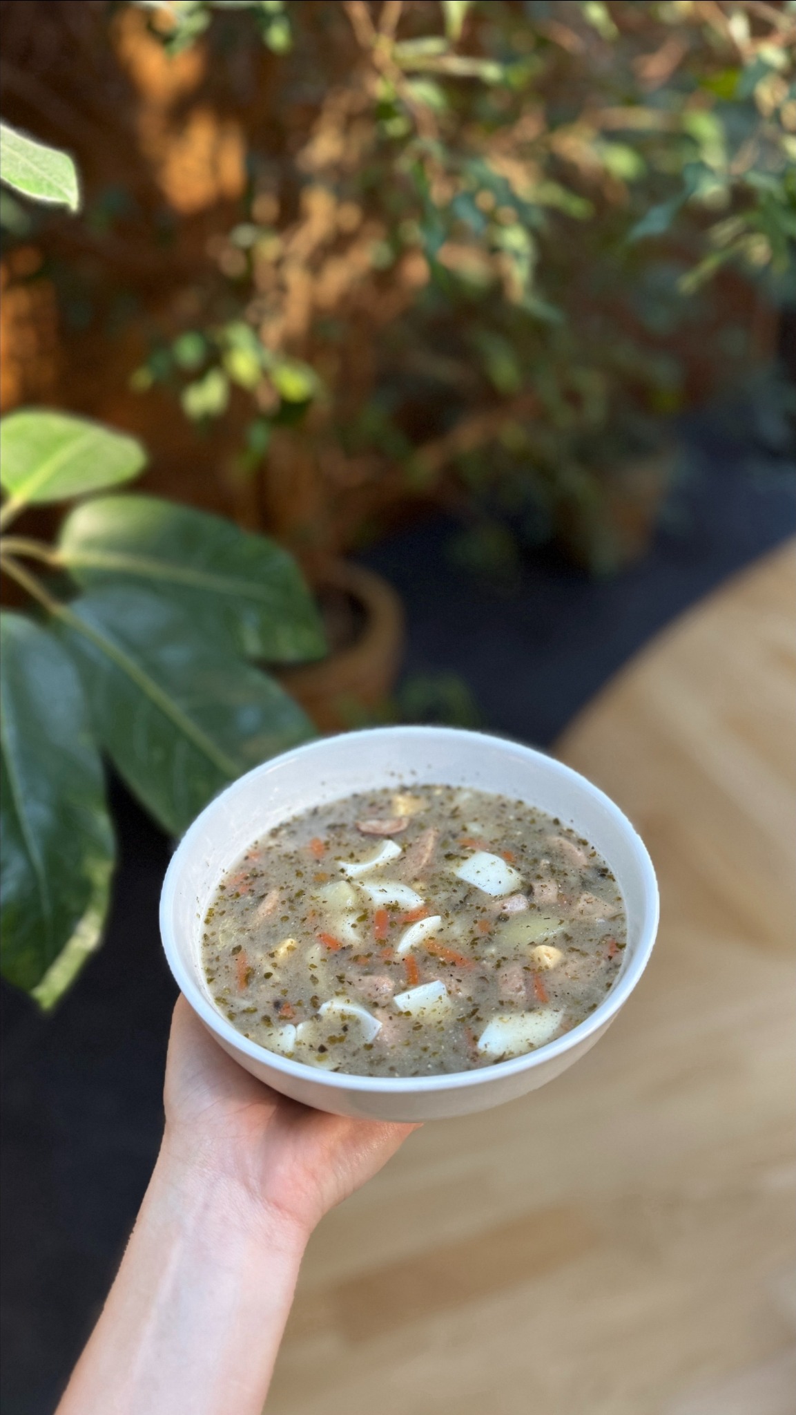 Kremowa zupa w białej misce, trzymana w dłoni na tle roślin i drewnianego blatu. Zupa zawiera kawałki jajka, kiełbasy i warzyw.