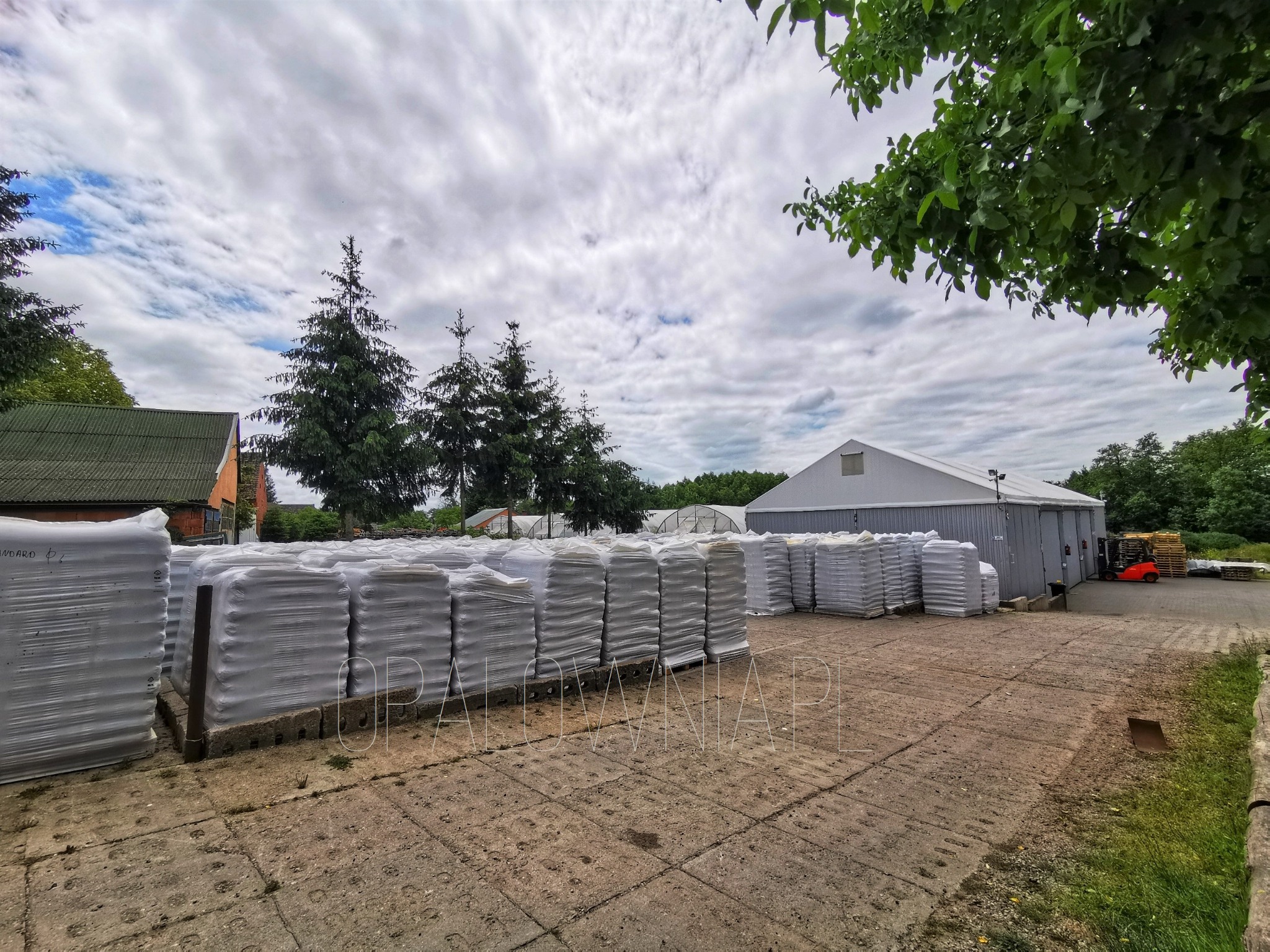 Rzędy palet z workami owiniętymi folią na betonowym placu, w tle budynek magazynowy i wózki widłowe, pochmurne niebo.