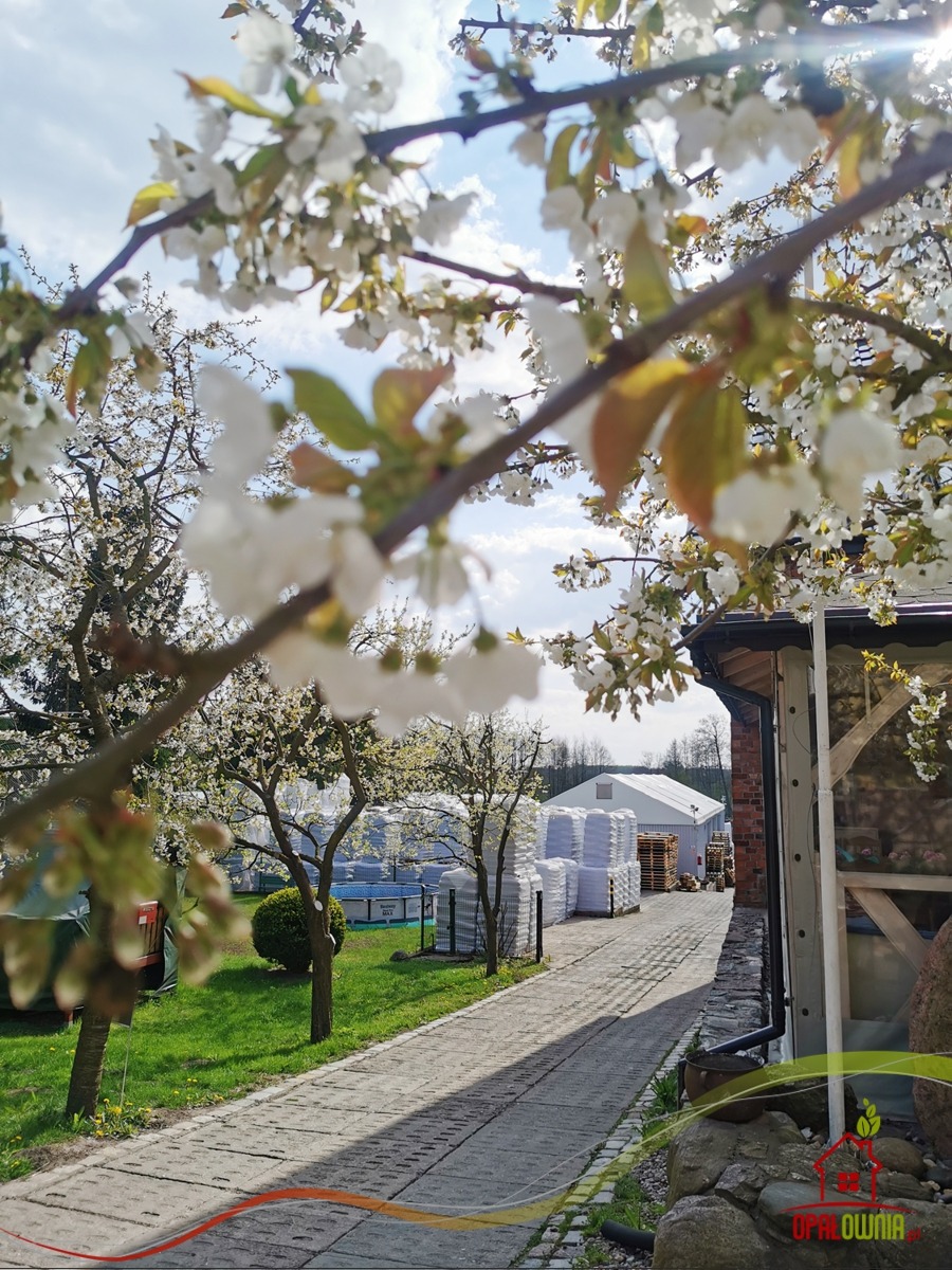 Wiosenny widok na skład opału z kwitnącymi drzewami w tle, palety z workami opału ustawione w rzędach, widoczne zza ogrodzenia i ścieżki.