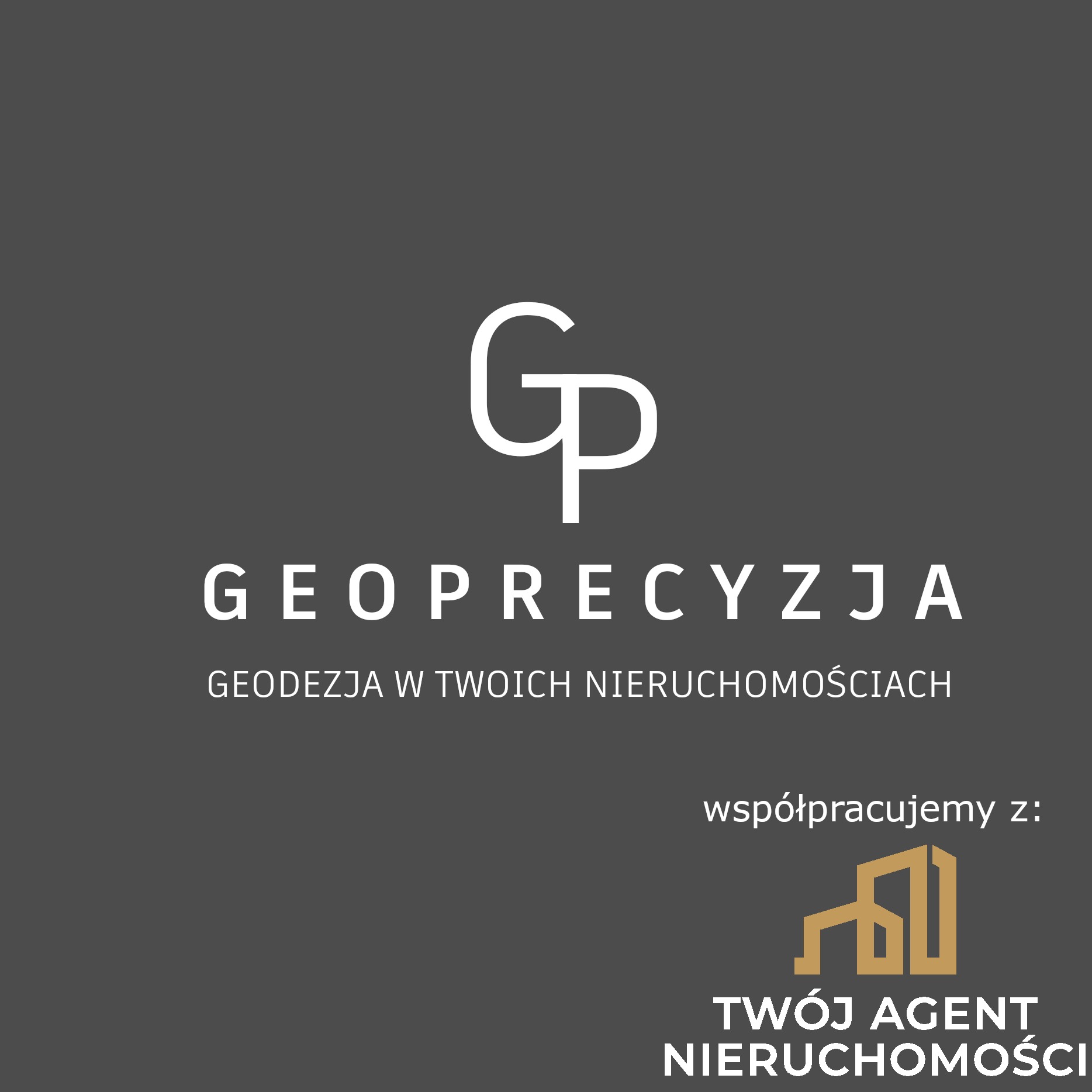 Logo firmy Geoprecyzja świadczącej usługi geodezyjne dla nieruchomości, współpracującej z agencją nieruchomości Twój Agent Nieruchomości.