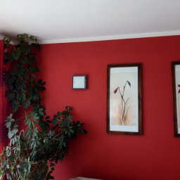 KostuchArt Studio - Czerwona ściana w pokoju z rośliną doniczkową, dwoma obrazami w brązowych ramkach i kwadratową lampą ścienną.