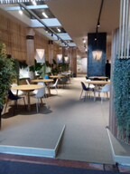 Jasne wnętrze kawiarni lub biura z drewnianymi panelami ściennymi, okrągłymi stolikami i krzesłami w różnych kolorach. Dekoracyjne rośliny w donicach dodają naturalnego akcentu. Oświetlenie...