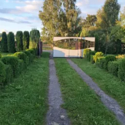 Ujęcie na posesję z podjazdem z dwoma śladami kół, równo przystrzyżonym trawnikiem, niskimi krzewami w formie kuli i wysokimi tujami w tle, prowadzące do metalowej bramy wjazdowej z ozdobnym...