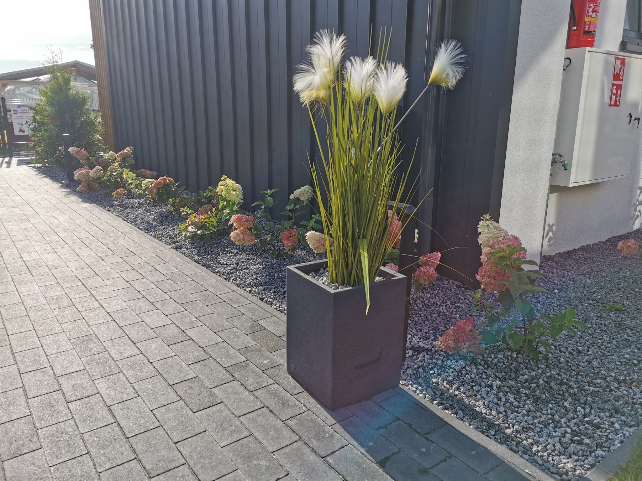 Kwadratowa donica z ozdobną trawą i kamieniami na tle szarej ściany i chodnika z kostki, obok posadzone hortensje bukietowe.