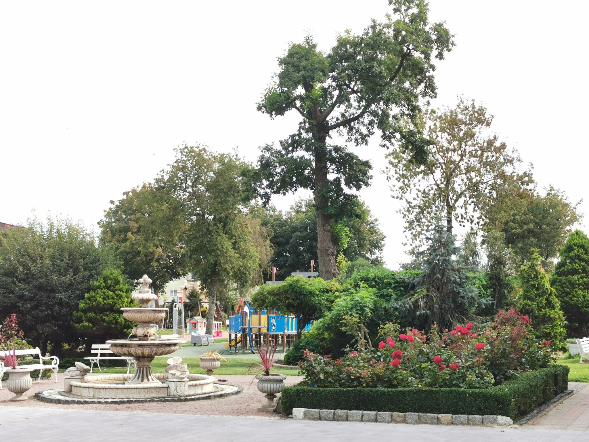 Rozległy ogród z fontanną, rabatami róż, wysokimi drzewami i placem zabaw w tle, ukazujący harmonijne połączenie przestrzeni rekreacyjnej i dekoracyjnej zieleni.