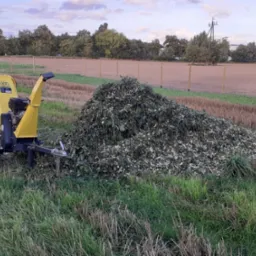 Ż&oacute;łty rębak do gałęzi stoi obok sporej pryzmy rozdrobnionych gałęzi i liści na trawiastym terenie, w tle widoczne pole i drzewa pod pochmurnym niebem.