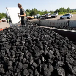 Mężczyzna z łopatą stoi na przyczepie wypełnionej węglem, w tle zaparkowane samochody i budynki.