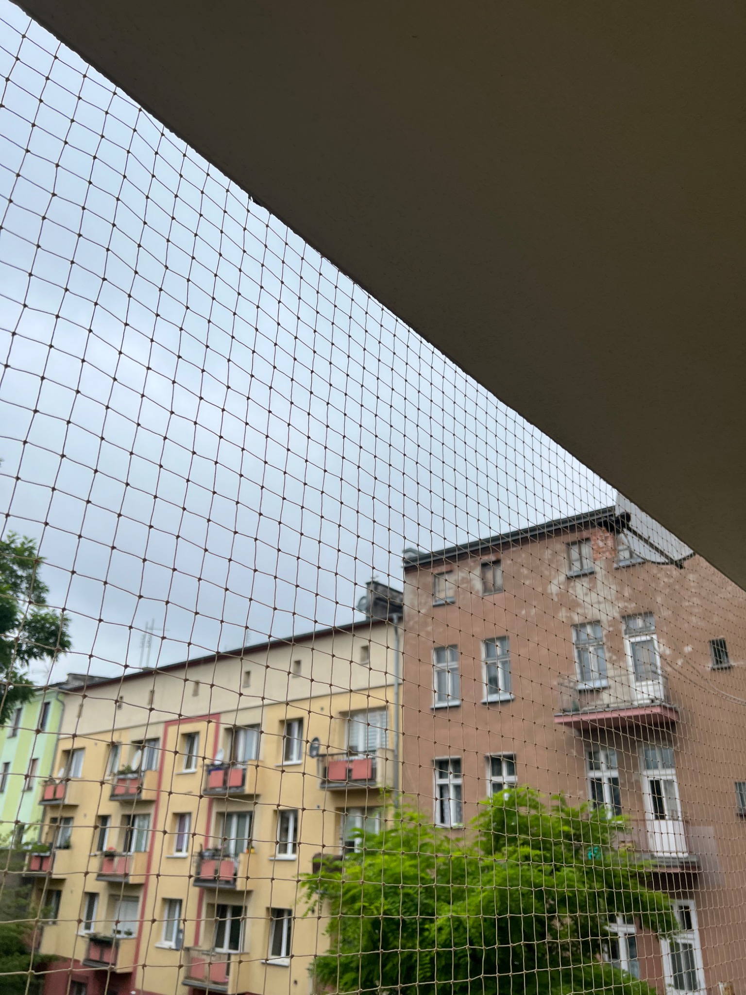Siatka zabezpieczająca przed ptakami zamontowana na balkonie, widok na budynki mieszkalne z różnymi kolorami elewacji i balkonami.