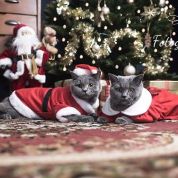 Fotograf ślubny Oława 4