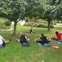 Grupa osób ćwiczy rozciąganie na trawie w parku, używając mat i bloków do jogi, pod drzewami.