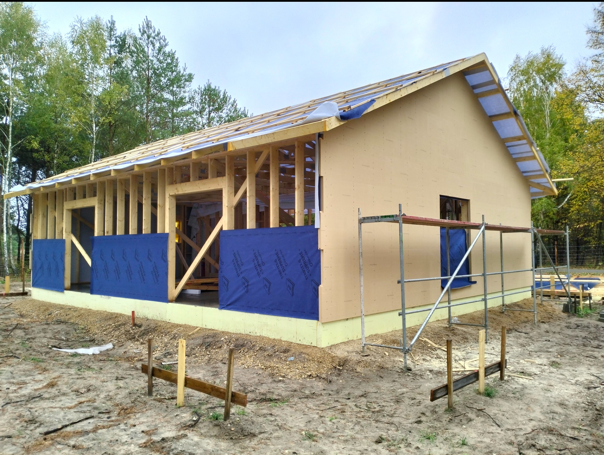 Budowa domu szkieletowego w trakcie: widoczna konstrukcja z drewna, płyty OSB i niebieska membrana. Na zewnątrz rusztowania. W tle drzewa.
