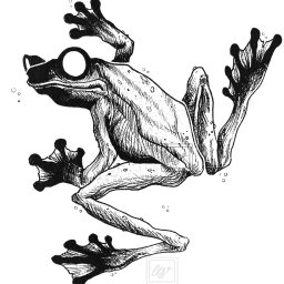 Projekt tatuażu- żaba.