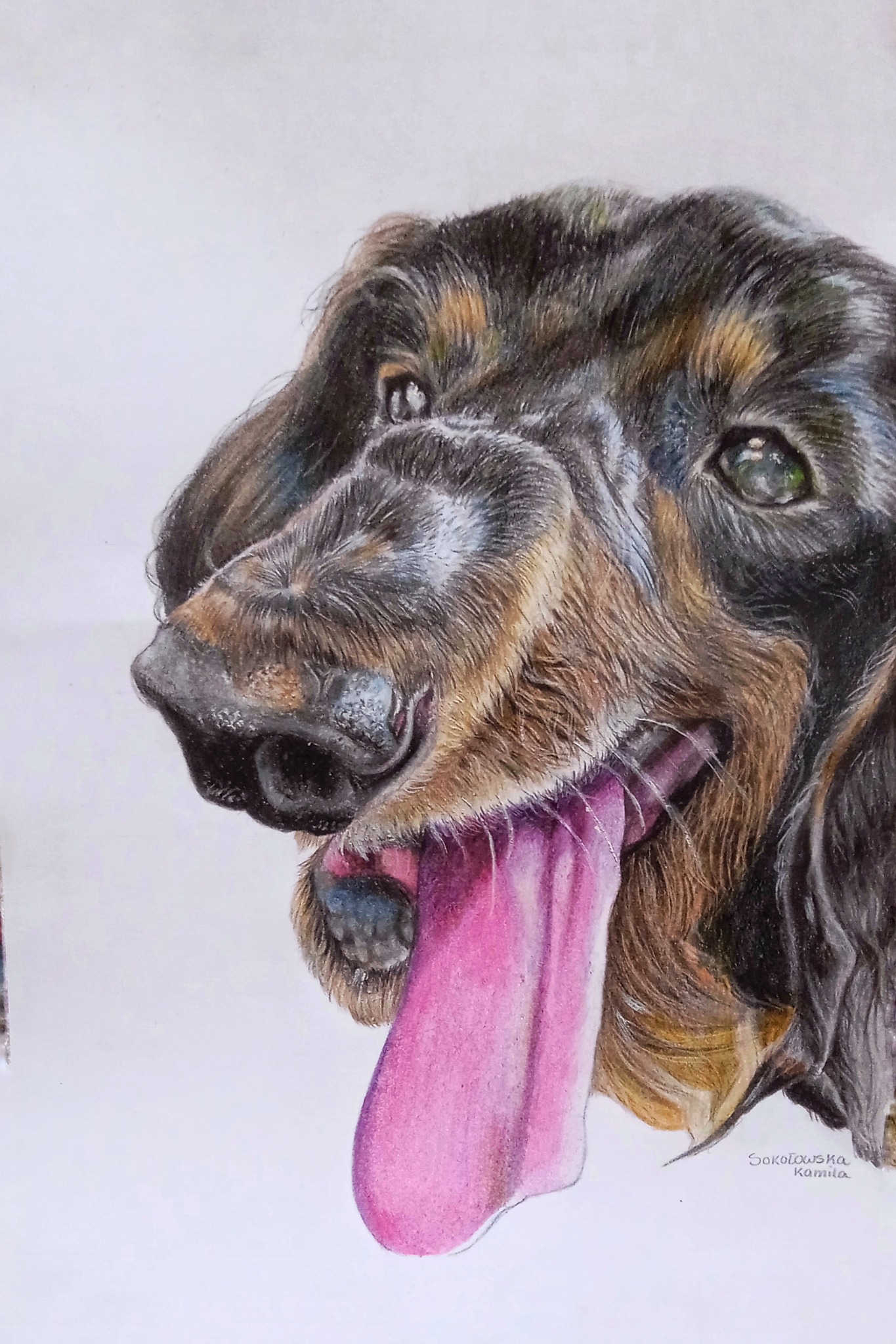 Rysunek psa- zamówienie Wykonany na formacie A4- Kredki.