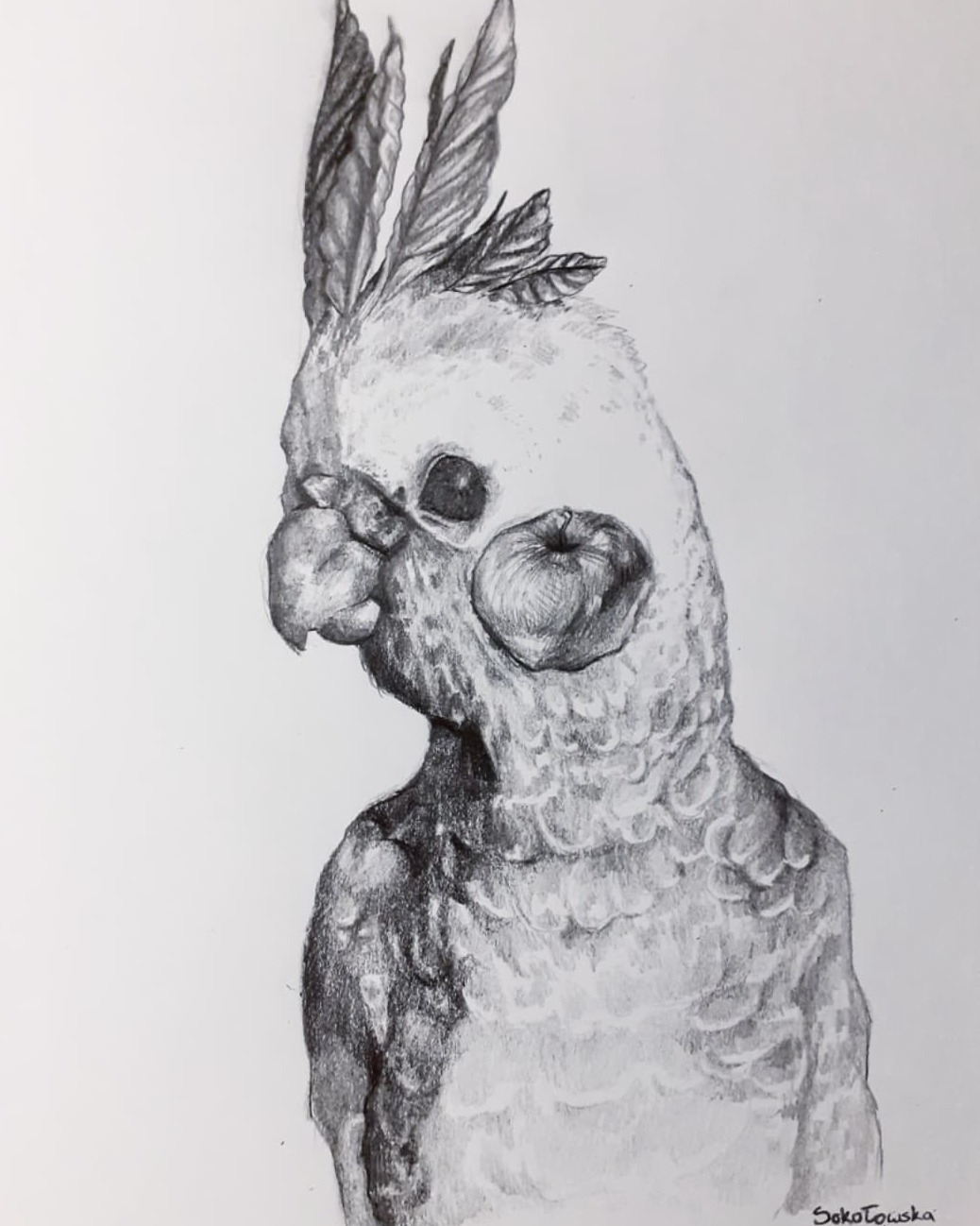 Papauga z jabłkiem. Ołówki