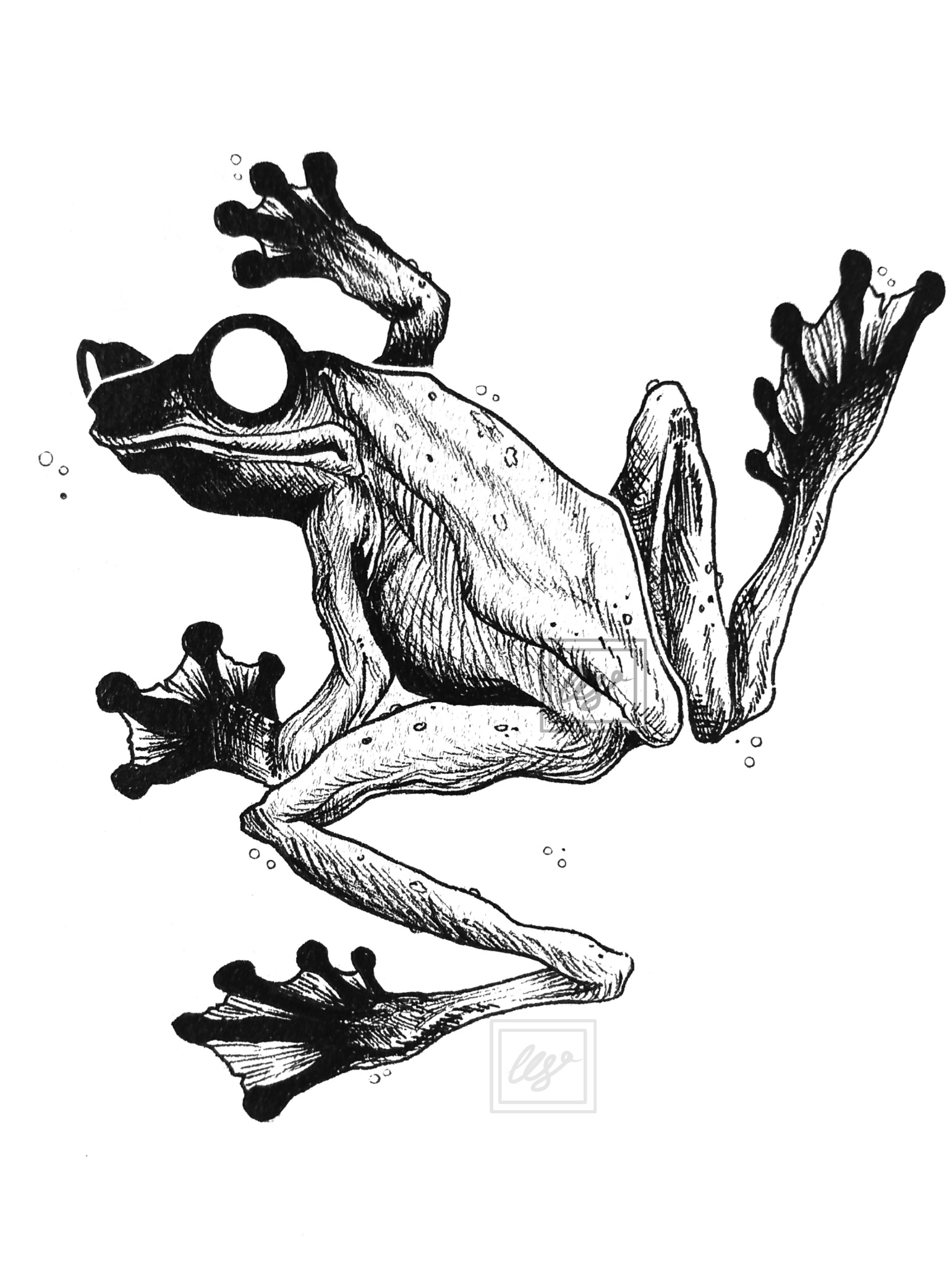 Projekt tatuażu- żaba.