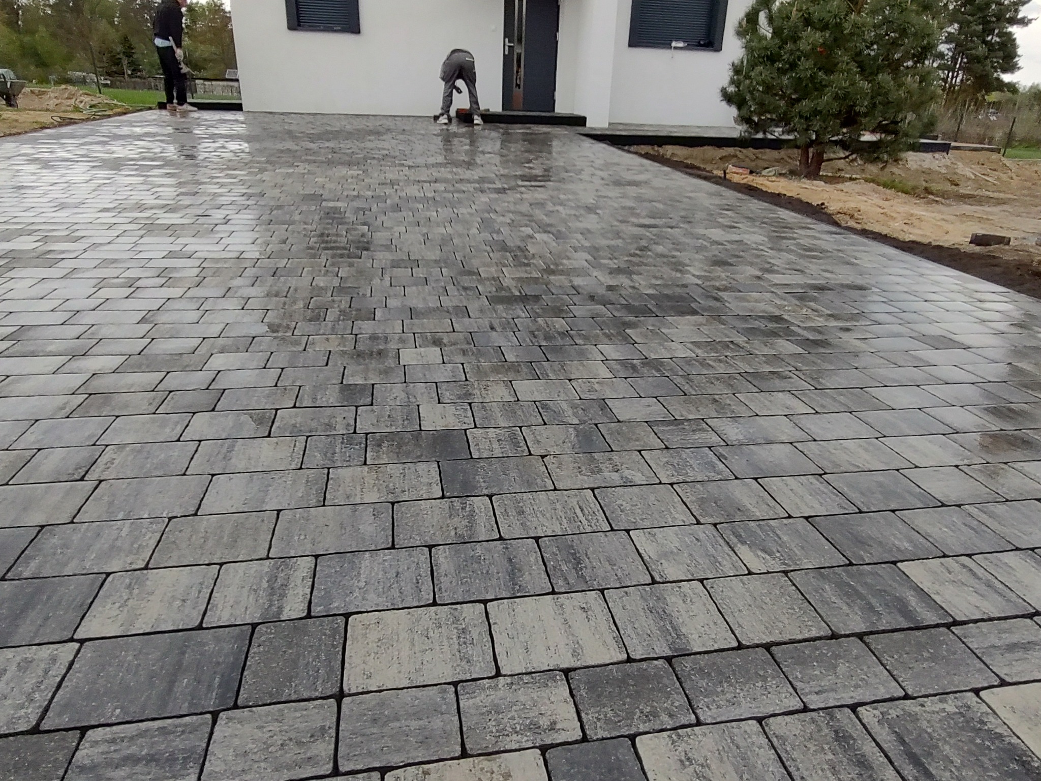 Nowo ułożona, mokra, szara kostka brukowa przed domem, z widocznymi dwoma pracownikami w tle, w trakcie prac wykończeniowych.
