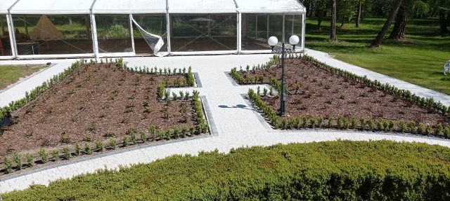 Ułożona jasna kostka brukowa tworząca ścieżki i obramowania rabat z korą i niskimi krzewami, na tle białego namiotu i zieleni trawnika.