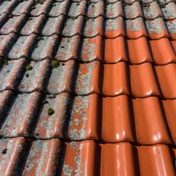 Częściowo wyczyszczony dach z czerwonej dachówki, z widocznym mchem i porostami na nieoczyszczonej powierzchni oraz czystą powierzchnią po myciu.