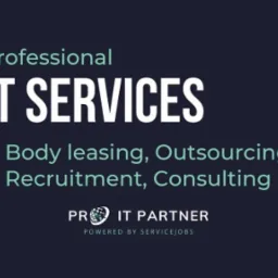 Grafika z tekstem 'Professional IT SERVICES' i listą usług: body leasing, outsourcing, recruitment, consulting, oraz logo firmy PR IT PARTNER.