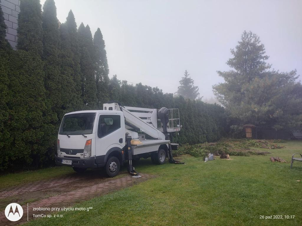 Biały samochód z podnośnikiem koszowym na trawniku przed wysokimi tujami, po wycince gałęzi, widoczne ślady cięcia.