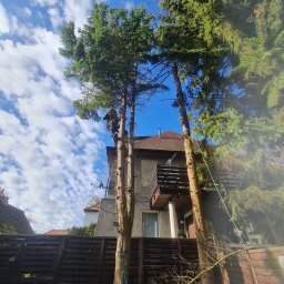 High Level - wycinka drzew mycie elewacji - Pierwszorzędna Renowacja Dachu w Policach