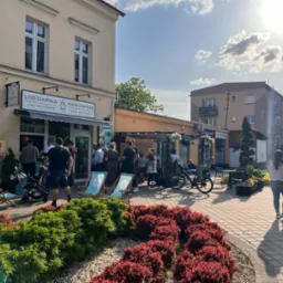 Kolejka klientów przed lodziarnią-kawiarnią w słoneczny dzień. Na pierwszym planie rabata z czerwonymi krzewami, za nią leżaki i wózki dziecięce. W tle budynek z szyldem 'Lodziarnia Kawiarnia'...