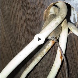 Drobne prace elektryczne Kraków 2