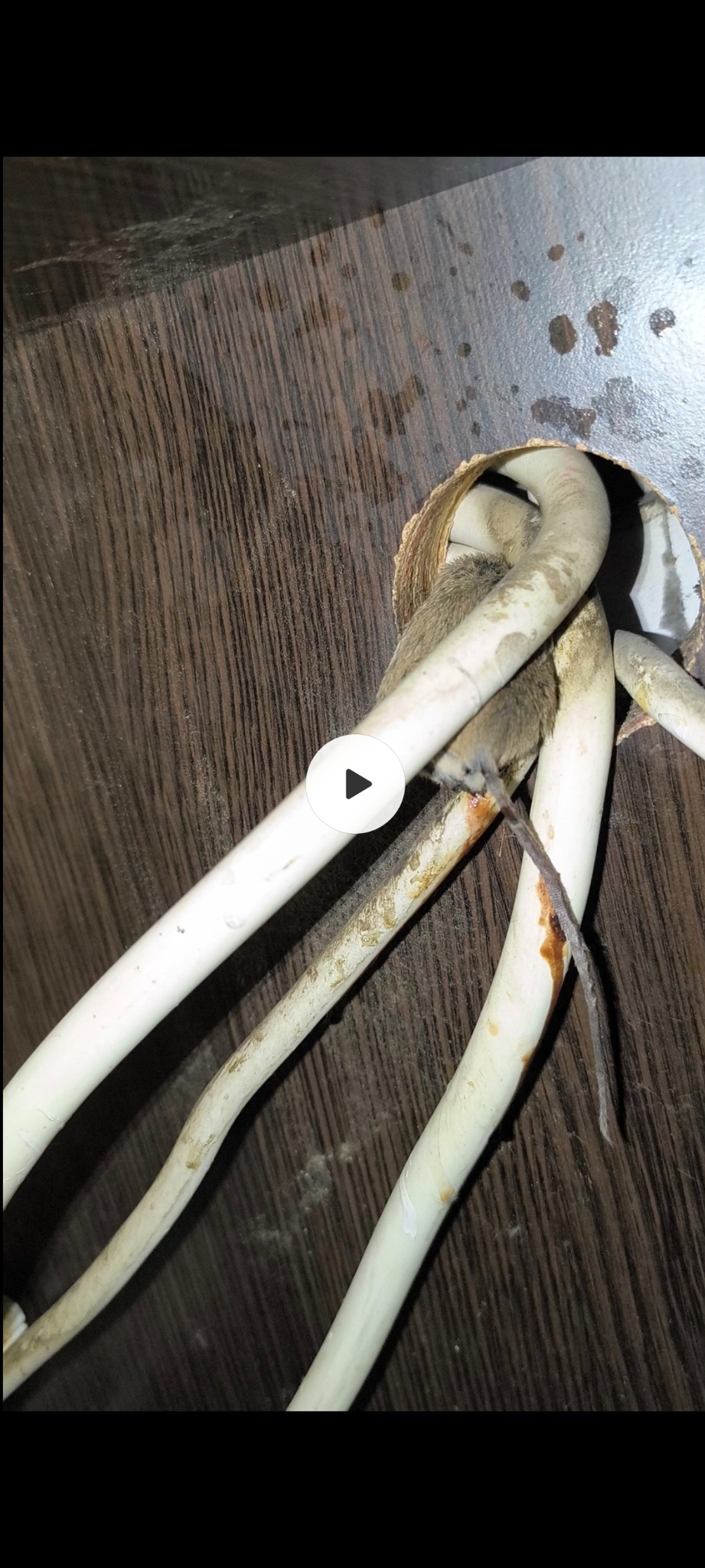 Niefachowo poprowadzone, brudne przewody elektryczne wystające z otworu w drewnianej płycie meblowej w Krakowie.