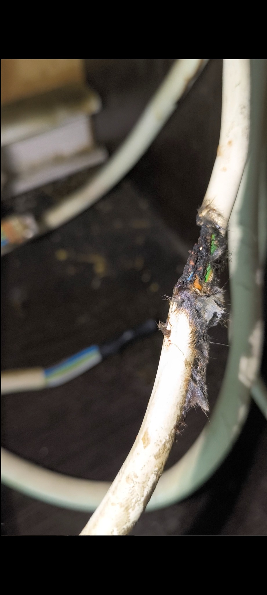 Przepalony kabel elektryczny z widocznymi stopionymi izolacjami i odsłoniętymi przewodami, wskazujący na awarię i potencjalne zagrożenie pożarowe.