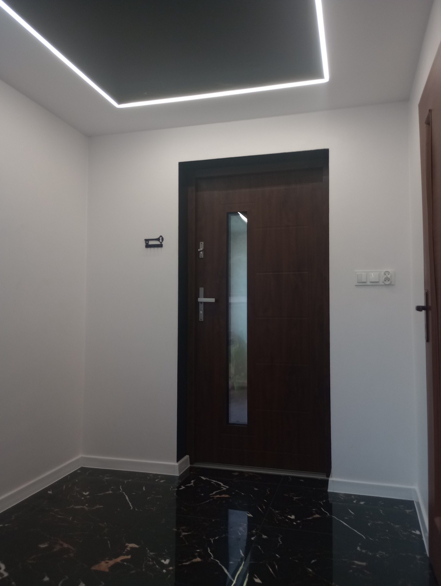 Nowoczesny przedpokój z czarną marmurową podłogą, białe ściany, ciemne drzwi z przeszkleniem i podświetlany sufit w kształcie kwadratu.
