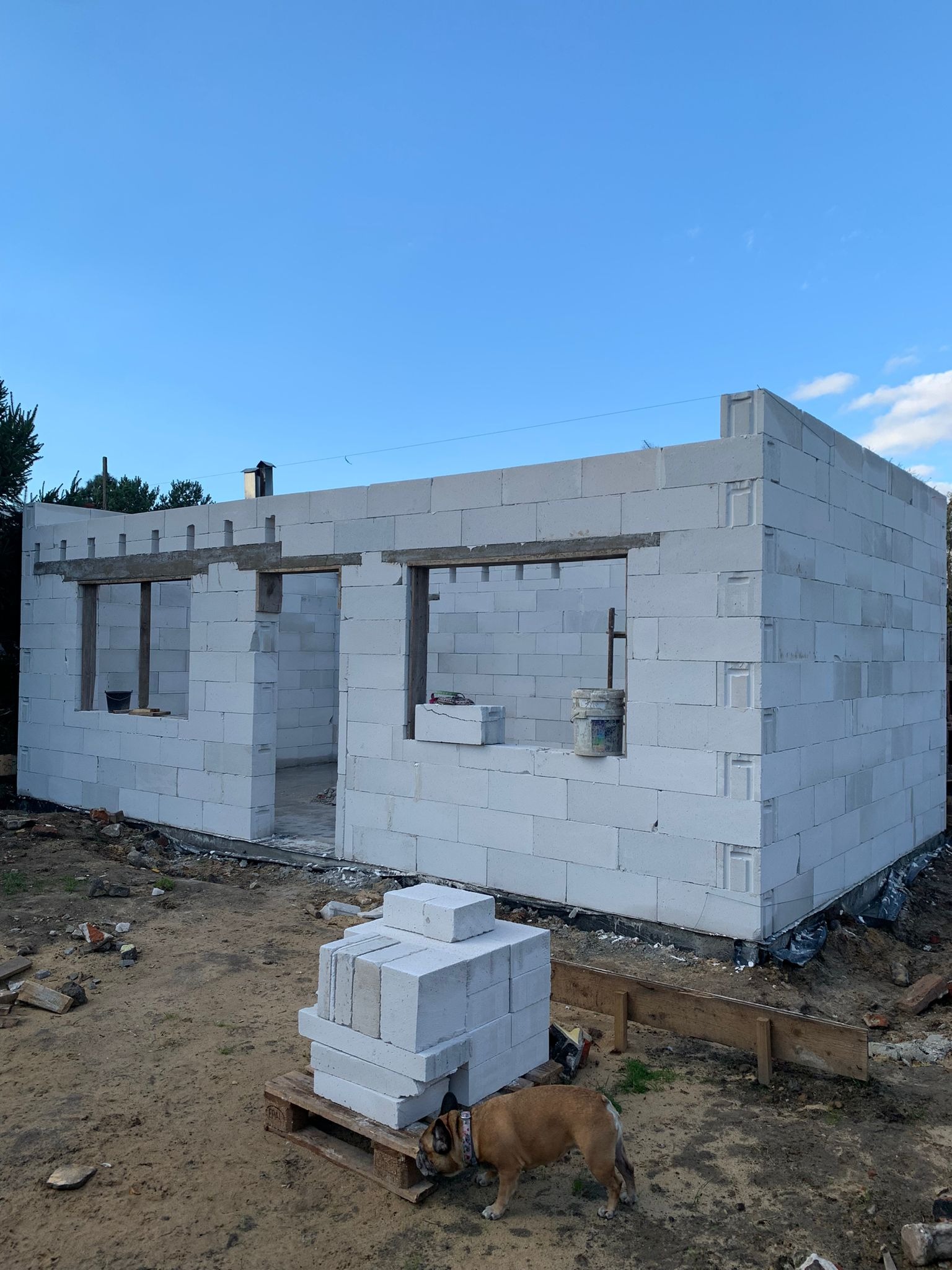 Budowa domu z bloczków betonowych: ściany w trakcie wznoszenia, widoczne otwory okienne i drzwiowe z drewnianymi nadprożami, paleta z bloczkami i pies rasy buldog francuski w tle.