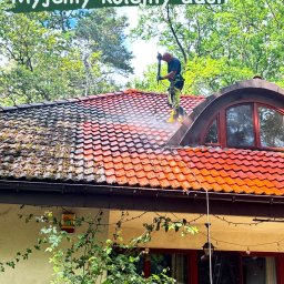 Wycinka drzew Piaseczno 1