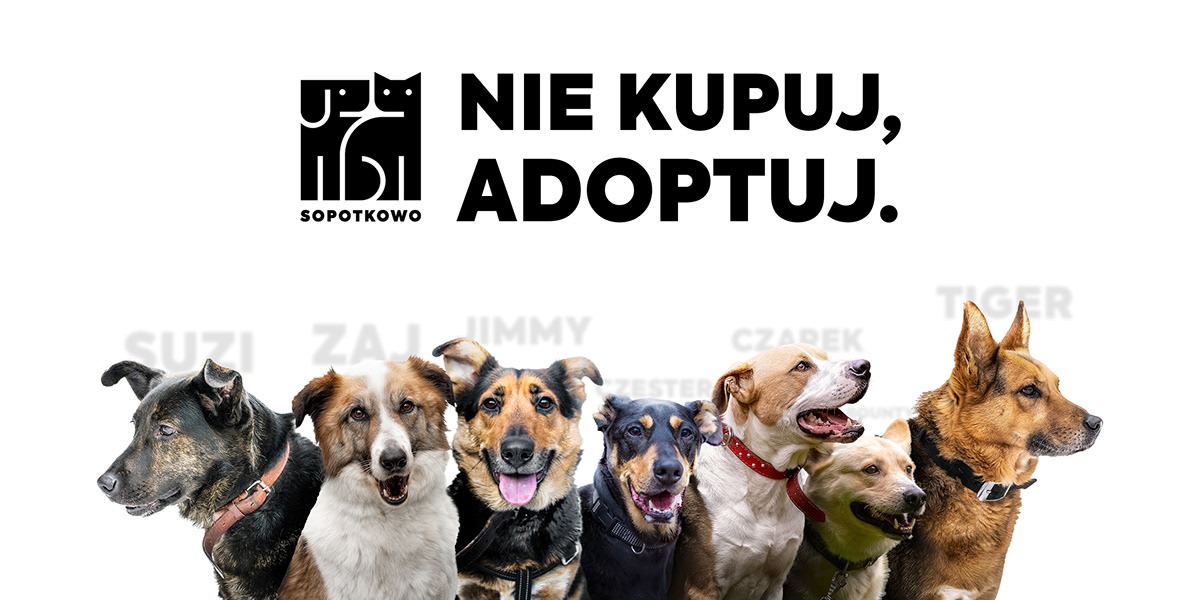 Projekt graficzny kubka z hasłem 'Nie kupuj, adoptuj' i logotypem schroniska Sopotkowo oraz wizerunkami psów.