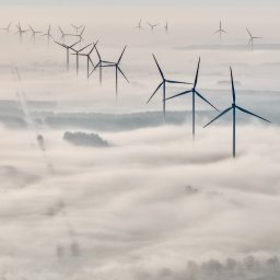 Kamerzysta Szczecinek 1