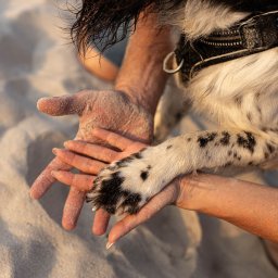 Sesja kobieca Gniewino 2