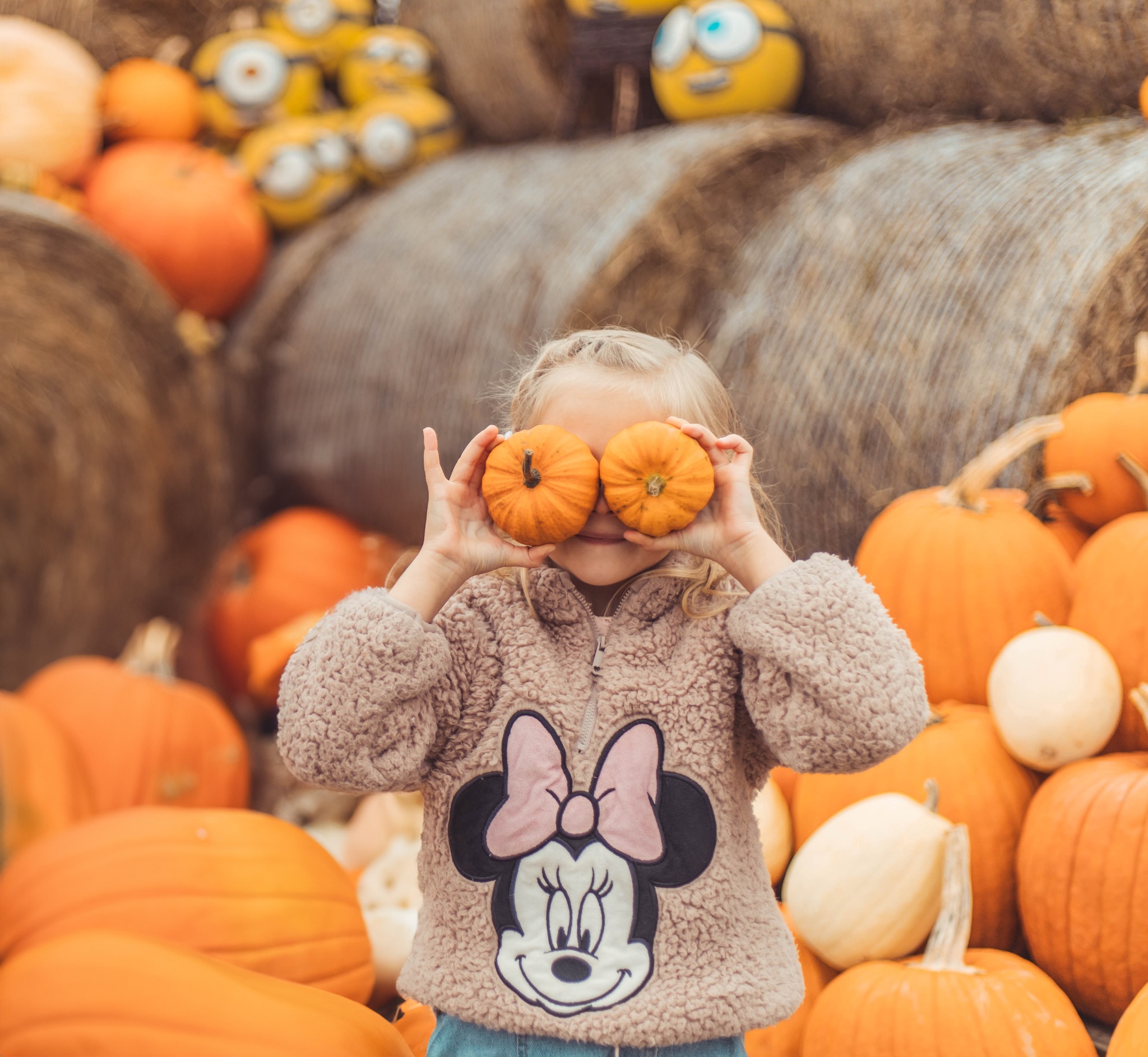Dziewczynka trzyma dwie małe dynie przed oczami na tle sterty dyń i dekoracji z Minionkami.