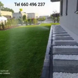 Nawadnianie trawnika zraszaczem obrotowym, widoczna ścieżka z płyt betonowych z białym grysem, schludny ogród z tujami i budynkami w tle.