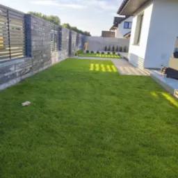 Świeżo założony trawnik z rolki przed nowoczesnym domem, widoczne regularne nasadzenia krzewów i drzewek, ogrodzenie z betonowych elementów i metalowych przęseł.