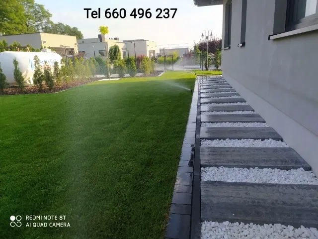 Nawadnianie trawnika zraszaczem obrotowym, widoczna ścieżka z płyt betonowych z białym grysem, schludny ogród z tujami i budynkami w tle.
